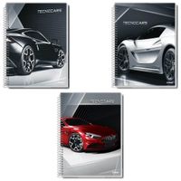 caderno-credeal-tecnocars-1-materia-capa-dura-espiral-96-folhas-sortido-201459-1