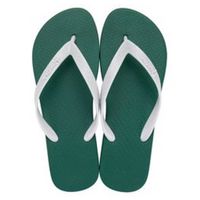 sandalia-de-dedo-ipanema-classica-masculina-verde-cinza-5320be2530394-1